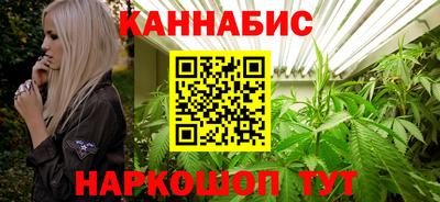 apvp Нальчик